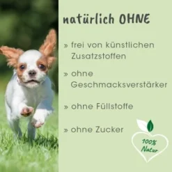ArthroGreen Junior 25 G -Hund Miau Verkaufsgeschäft 013d32f1d253838d1efc9de0f8c454f921526ea1 1674241 de DE 833c41f64e49fb0cf3ea1fa970839416ee330fd2KA770O