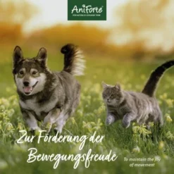 Aniforte MSM Pulver 300g 9 Aniforte MSM Pulver 300g -Hund Miau Verkaufsgeschäft 015cff2ab7052307a054b07e2455a1716a21bfb4 1472624 de DE 4c4323a13282fd07c53e518bf329d72b94d75ac95mimOv