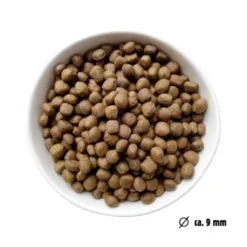 Eat Small EatSmall 10kg Mini Balance Trockenfutter -Hund Miau Verkaufsgeschäft 022311929b7a668588c438a801ffcb397cc4f6a5 1450724 de DE ef1a1257b12edf1ce0a516e027bab83024c70daeCWb9u6