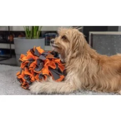 TrendPet Schnüffelball Orange -Hund Miau Verkaufsgeschäft 0b3adcfec2519e0c6e929e0267a6c980a87babfc 1347789 de DE 4bd3ff6adcaeee7c376418b75c81fae19b8db63bwKh8XT