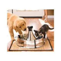 PetSafe Drinkwell Edelstahl Trinkbrunnen 3,8L 5 PetSafe Drinkwell Edelstahl Trinkbrunnen 3,8L -Hund Miau Verkaufsgeschäft 0b857d99be74785f03441cdf205d78afc573a5f0 f5de276ff33b0013ac854ac307e67ca3cb243cbe