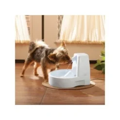 PetSafe Drinkwell Trinkbrunnen Original, 1,5 Liter -Hund Miau Verkaufsgeschäft 0eafb4742dba6833f9a27c15a06f970e4cd3a735 e5e9d8abdbe4501019d4b3506e15c02aeff7b01c