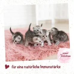 Hund Miau Verkaufsgeschäft -Hund Miau Verkaufsgeschäft 10a1afe408f81f5ec9ac4ea573ac9f9d457928df 1302253 de DE 052cad4707ae281a1bd3197146794279afa9d9c1bykeHO