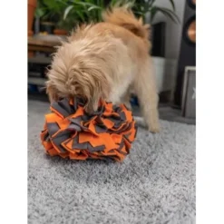 TrendPet Schnüffelball Orange -Hund Miau Verkaufsgeschäft 150c7485ceb45f446eae94d286af034396b6b839 1347789 de DE 0d959a3cb36067968769c2d102a66fcc1f59a724hVebVb
