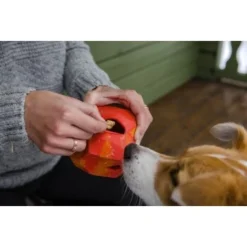 Ruffwear Gnawt-a-Rock™ Spielzeug Blau -Hund Miau Verkaufsgeschäft 18a32f6fd206d1a1fd4df8bb6663cd33f769d9d5 1639879 de DE b243dd683d9144eaac7a8d1e460c634ef96ee8c8AtipD6