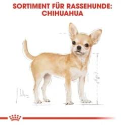 ROYAL CANIN Chihuahua Adult 12x85g -Hund Miau Verkaufsgeschäft 197d45cb7575160e4d31cd104a5e5841d9299ef7 f715e0902cfbc2b880c867fd6b8875c02d62af99