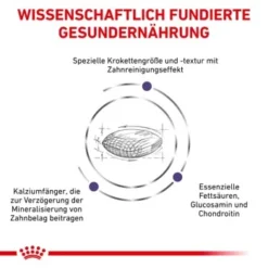 ROYAL CANIN Veterinary Dental 6 Kg -Hund Miau Verkaufsgeschäft 19aec4add9f961a7e03c5ed6261d28e19682e7c4 1154390 de DE RC VET wb 3