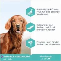 EUKANUBA Daily Care Sensible Verdauung 12 Kg -Hund Miau Verkaufsgeschäft 1a7d954ffcf2645186347fe3a5210755c5368933 4414615294b74dc58e6a1119f8cd6be9a67be173