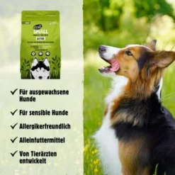 Eat Small EatSmall 3x2kg Active Trockenfutter -Hund Miau Verkaufsgeschäft 1dbbc86b72e808052db3b66e526d25ad4ea698d3 1472609 de DE 045556f8e417da90be61f538db133a32cf0ddbabKbIVH3