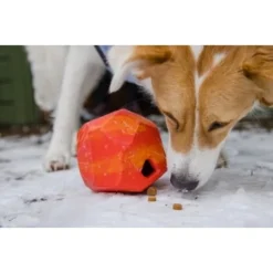 Ruffwear Gnawt-a-Rock™ Spielzeug Blau -Hund Miau Verkaufsgeschäft 1df4ce0c3e2b13b9dde849014a9b4637ff5fbf94 1639879 de DE 625c8d7bd239fd4e64b055b3b2574c1b5400a391xF45nb