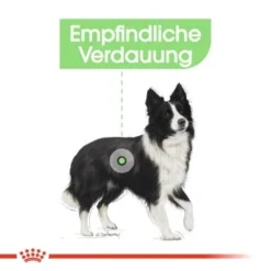 ROYAL CANIN Digestive Care Medium 12 Kg -Hund Miau Verkaufsgeschäft 1e02a6b838f0788c7a008149b787240ab36ed38b 1376251 de DE uahs 4