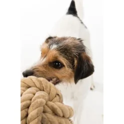 Trixie BE NORDIC Tau-Ball 18cm -Hund Miau Verkaufsgeschäft 1f7fb2f6aa41b9eda5c2948d6d177e65789848a0 1317741 de DE Trixie be nordic Tau Ball wb 2