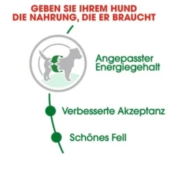 ROYAL CANIN Mini Adult 8 Kg -Hund Miau Verkaufsgeschäft 21a75e18dd1e934195f6d0b5ad84a9570a91191d c720d53d881e68ef8e0f57239191ef1e7e47842d