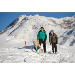 Ruffwear Gnawt-a-Stick™ Spielzeug Blau -Hund Miau Verkaufsgeschäft 2246c88048d09d53fa487f072b22d14e4a2e33ef 1639653 de DE 5f53794cf035e2b111cadee76ead9defd3616d73NuZA0y