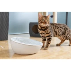 AniOne Keramik-Trinkbrunnen Waterfall Weiß Ohne Ersatzfilter 10 AniOne Keramik-Trinkbrunnen Waterfall Weiß Ohne Ersatzfilter -Hund Miau Verkaufsgeschäft 22f8cd58465daffecc53a3601646346e175d57eb 4d4a24debbbb841d754788ce55b15dca07e866ea