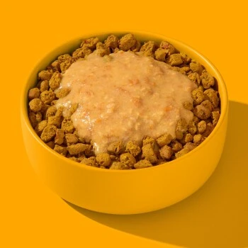 Fred & Felia FRED Smoothie Huhn Mit Kurkuma 10 X 200g 7 Fred & Felia FRED Smoothie Huhn Mit Kurkuma 10 X 200g – Bild 5