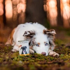 DOG'S LOVE Adult Fleisch Pur B.A.R.F. 6x400g Huhn -Hund Miau Verkaufsgeschäft 23da8a3e43fad305a04436df0548025ecd8d9384 1274546 1