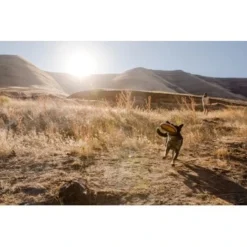 Ruffwear Hover Craft™ Spielzeug Orange 16 Ruffwear Hover Craft™ Spielzeug Orange -Hund Miau Verkaufsgeschäft 23f3ce0fb188e4f5a253007adc90481d6747961b 1364297 de DE e44fe3627eb338195cfdd7c589598a8edb05def2xpzXS1