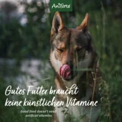 Aniforte Rind Pur 2,4 Kg -Hund Miau Verkaufsgeschäft 24ad40a3bea859ad767ebfe275c4652766ecf919 1422178 de DE 12b8cfe33ee675107bc8329d05c3a48ecec8adbaWiJxo9