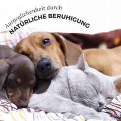 Aniforte Bachblüten Protest -Hund Miau Verkaufsgeschäft 2588226ebcbbd40f01b907ef368da65b2a00ff55 1480465 de DE 3ebd76937caa06852ee58c852a369637b3a50c858P4hCz