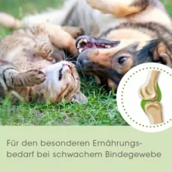 ArthroGreen Collagen 130 G -Hund Miau Verkaufsgeschäft 27d13f250bfa7a3d41988a37af9af627d7317c5e 1662610 de DE deb054674da499ef45e8b27beed901f5854933afm7Kckn