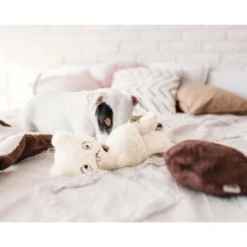 Hund Miau Verkaufsgeschäft -Hund Miau Verkaufsgeschäft 2b912e11ff791f907cc323eb3ba992de0f8a2d8d 1408970 de DE a725240c8c4d10a5b947b84b5ff700320f4b3c17pg1AK1