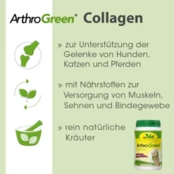 ArthroGreen Collagen 130 G -Hund Miau Verkaufsgeschäft 2d1dd60d952cf303f7c12ad2e0ae6db7c8921357 1662610 de DE 47bb656b8790b927a95c917137a2c1418cd1e806cE2Hw2