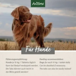 Hund Miau Verkaufsgeschäft -Hund Miau Verkaufsgeschäft 2f9c51fa3ba706989db9916f473150740c9fbfa0 1422209 de DE 2444d01ca24fad483068559e9f4a95938a142361VzE1do