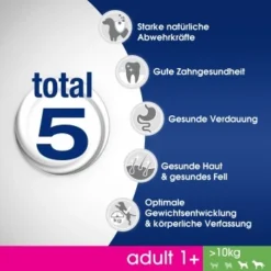 PERFECT FIT Adult 1+ Huhn M/L 6kg -Hund Miau Verkaufsgeschäft 2fa8d81f99e9dbbb6fedba415940c79543068f38 1342010 de DE Total 5