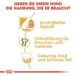 ROYAL CANIN Labrador Adult Sterilisiert 12 Kg -Hund Miau Verkaufsgeschäft 318ba0ef082f19d7f189daa60ce58b5b82da72b0 0f8c00585e5d0a1ec6125a08e6f6194a30028a03