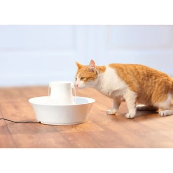 PetSafe Drinkwell Keramik Trinkbrunnen Avalon 2 Liter 4 PetSafe Drinkwell Keramik Trinkbrunnen Avalon 2 Liter – Bild 2