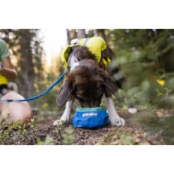 Ruffwear Trail Runner™ Napf 17 Ruffwear Trail Runner™ Napf -Hund Miau Verkaufsgeschäft 379fe16a7a50c8e71290f739965451bab58f5404 1651571 de DE cc80a2ec211d680722d58d483cd6e35959c0ef22Kohbda