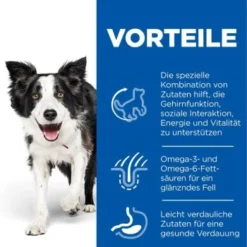 Hill's Science Plan Senior Vitality Medium Mature Adult 7+ 14 Kg -Hund Miau Verkaufsgeschäft 380d3b47e471ea8f2344a64f11a9d054a5d49ab3 52742026107 4