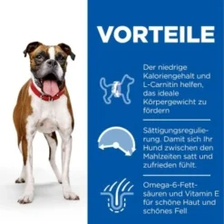 Hill's Science Plan Adult Light Medium Mit Huhn 14 Kg 15 Hill's Science Plan Adult Light Medium Mit Huhn 14 Kg -Hund Miau Verkaufsgeschäft 39d9ff162a4d2be162793afac07f3a07cb572dc5 52742025834 4