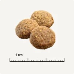 SELECT GOLD Light Medium Adult Huhn 4 Kg -Hund Miau Verkaufsgeschäft 3ac40a878e745f264b4acd423b6ddb7b1c90063c 1001492005 de DE 6