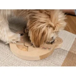 TrendPet Intelligenzspielzeug Intelli -Hund Miau Verkaufsgeschäft 3eb4d41034c0f3313929136157c4052ccd4ea926 1260161 de DE d146e7e756f1415d035fb0f48553c56a33aee61amIbGAB