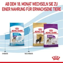 ROYAL CANIN Giant Junior 15 Kg 15 ROYAL CANIN Giant Junior 15 Kg -Hund Miau Verkaufsgeschäft 3f0f320cf0514c60e2d60f64a366dd987cd444ca 3182550707077 7
