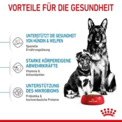 ROYAL CANIN MAXI Starter 15kg -Hund Miau Verkaufsgeschäft 3f492eb193a7d2aa85c8c44a42e2b9f200c7c02c 1044296 de DE royalcaninwb3