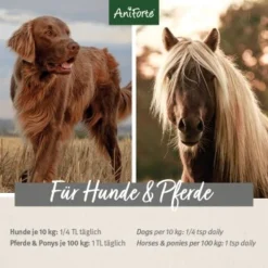 Aniforte Bio Ägyptisches Schwarzkümmelöl 500ml -Hund Miau Verkaufsgeschäft 4258016ff96e6eaff4a590bc2850e571352c6a4d 1480469 de DE 17f309b4e6d8fb85e8cb8f3f497f25cae50c097f6a4PXZ