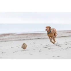 Trixie BE NORDIC Tau-Ball 18cm -Hund Miau Verkaufsgeschäft 425e9ce320653651c720fb86d129e2e950da8863 1317741 de DE Trixie be nordic Tau Ball wb 5