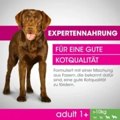 PERFECT FIT Adult 1+ Huhn M/L 6kg -Hund Miau Verkaufsgeschäft 4571329b4c1e5659a75eee4a9c9393c2d3655266 1342010 de DE F B 2