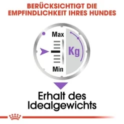 ROYAL CANIN Sterilised Adult Pouch 12x85g -Hund Miau Verkaufsgeschäft 45e02793655c2fec0d84c4180b5e7ffca82a1190 4f20f1aabeb1096d34b19ef0cb33f9021f6a7537