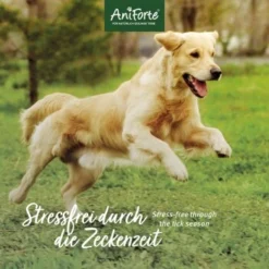 Aniforte Zecken Schild (bis 10kg) Für Kleine Hunde 60 Kapseln -Hund Miau Verkaufsgeschäft 49e07229986c01ad0e985f8070fe8262af2296ea 1332831 de DE 6b0465714e7043aa512f07a2e3a3c8a3a07d4c02s07yBZ