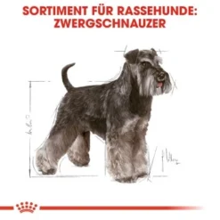 ROYAL CANIN Zwergschnauzer Adult 3kg -Hund Miau Verkaufsgeschäft 4b254e5382fabcd23f48acb6657e77713d8a691f 070e96f3f4004e947ccdcc877c4e123371366cdd