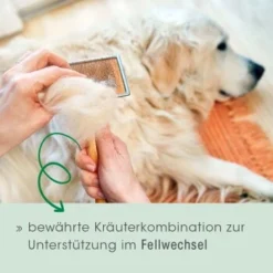 Fell & Haut Vital 150 G -Hund Miau Verkaufsgeschäft 4b5f7de965eae94531d5560734f33444a0071a93 1049905 de DE 2d1bc3a540575105062fbc54df85eb515b459321CnG7ce