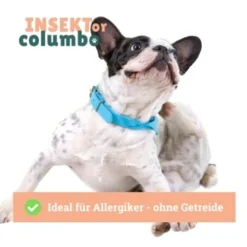 BeG Buddy Trockenfutter Insekten, Hypoallergenes Insektenfutter - Sensitive 4 Kg -Hund Miau Verkaufsgeschäft 519a458e80717dfef53f62500e2bfaca88b83030 1457248 de DE 4e178ddbc2b2fdbf0c31f82dc0c4f17ba0e1886aEkeJ0K