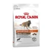 ROYAL CANIN ENERGY 4300 (TRAIL) 15kg -Hund Miau Verkaufsgeschäft 51ce3668290aaf437cafd69efe009fed220d1a46 137a41285849c3a88bcc31f66d05e1f2724d1204