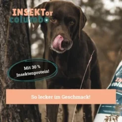 BeG Buddy Trockenfutter Insekten, Hypoallergenes Insektenfutter - Sensitive 4 Kg -Hund Miau Verkaufsgeschäft 54e01906aa9de056ad2a9574a1c4270899f1b9f0 1457248 de DE a7b2e0a08ffde87f19ce4820500c56d453115ca7vC1c1K