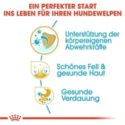 ROYAL CANIN Shih Tzu Puppy 1,5kg -Hund Miau Verkaufsgeschäft 56d85e3b7a854f0c3c469e43d2c3c37f7c39b9f9 bd7c3ec6924c08deee4e224cb6dc47b8888a62ab