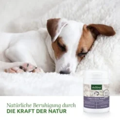 Aniforte Calm & Relax Kräuter 100g 8 Aniforte Calm & Relax Kräuter 100g -Hund Miau Verkaufsgeschäft 59d8edf488dbbfa5326d02c9bc480ebe764b40aa 1477975 de DE 8fdc0dbb13dd77bc918a019d832ea481c7670a35vrdXJ1